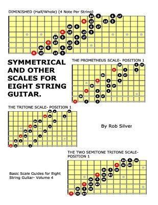 Symmetrical and Other Scales for Eight String Guitar by Silver, Rob