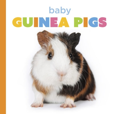 Baby Guinea Pigs by Murray, Laura K.