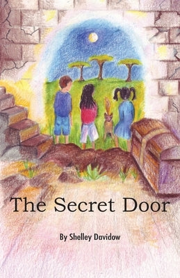 The Secret Door by Davidow, Shelley