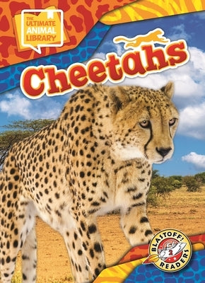 Cheetahs by Scheffer, Janie