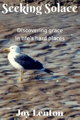Seeking Solace: Discovering grace in life's hard places by Young, Glynn