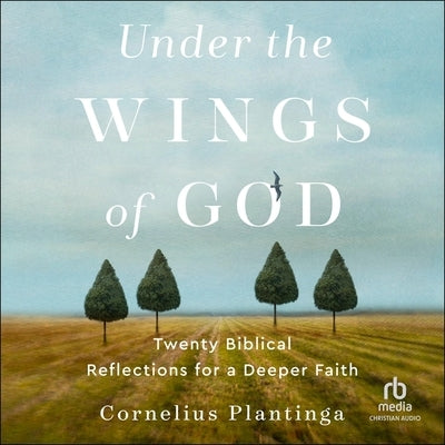 Under the Wings of God: Twenty Biblical Reflections for a Deeper Faith by Plantinga, Cornelius