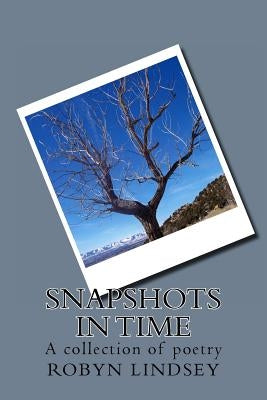 Snapshots In Time by Lindsey, Robyn