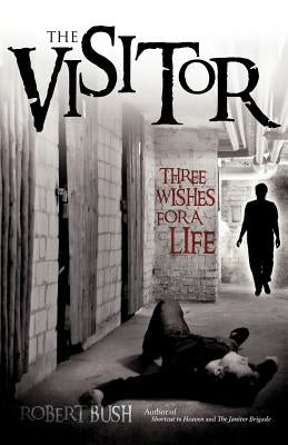 The Visitor by Bush, Robert