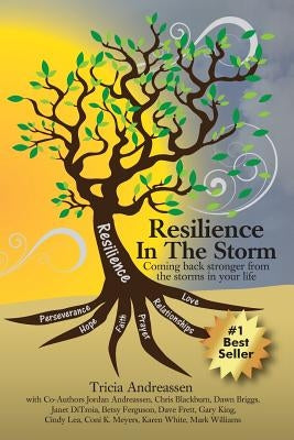 Resilience In The Storm: Coming Back Stronger From The Storms In Your Life by Andreassen, Jordan