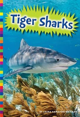 Tiger Sharks by Waxman, Laura Hamilton