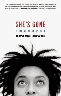 She's Gone by Dawes, Kwame