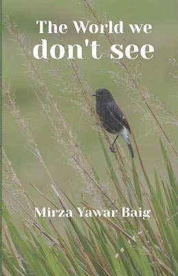 The World We Dont See by Baig, Mirza Yawar