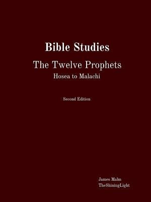 Bible Studies The Twelve Prophets Hosea to Malachi by Malm, James