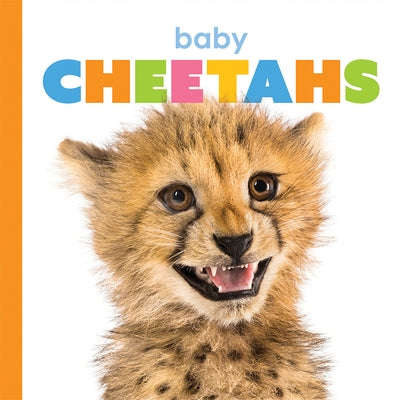 Baby Cheetahs by Riggs, Kate