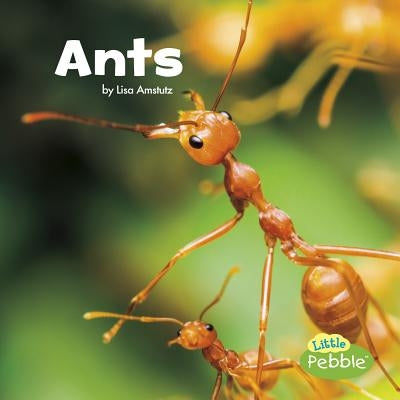 Ants by Amstutz, Lisa J.