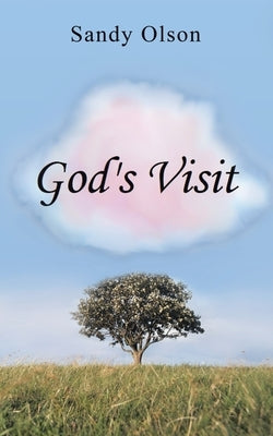 God's Visit by Olson, Sandy