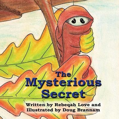 The Mysterious Secret by Brannam, Douglas M.