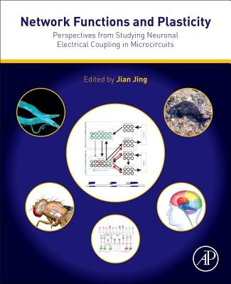 Network Functions and Plasticity: Perspectives from Studying Neuronal Electrical Coupling in Microcircuits by Jing, Jian