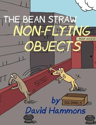 The Bean Straw: Non-Flying Objects by Hammons, David