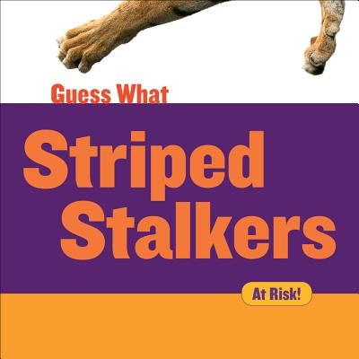 Striped Stalkers: Tiger by Macheske, Felicia