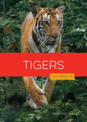 Tigers by Hanel, Rachael