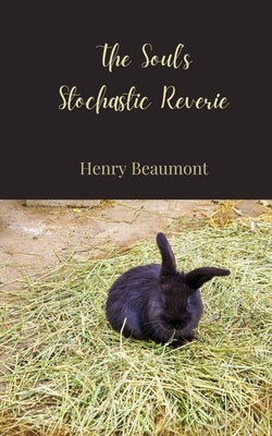 The Soul's Stochastic Reverie by Beaumont, Henry