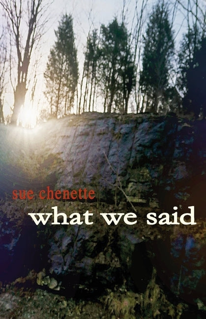 What We Said by Chenette, Sue