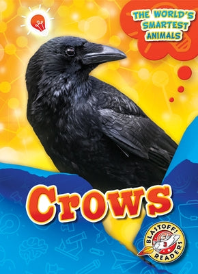 Crows by Mattern, Joanne