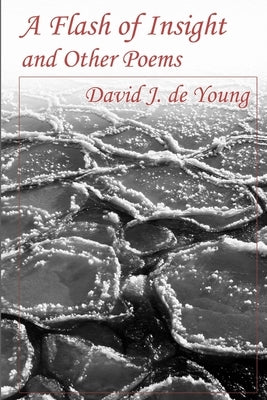 A Flash of Insight and Other Poems by de Young, David J.