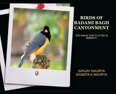 Birds of Badami Bagh Cantonment by Maurya, Sanjay