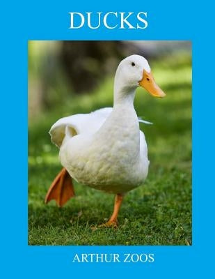 Ducks by Zoos, Arthur