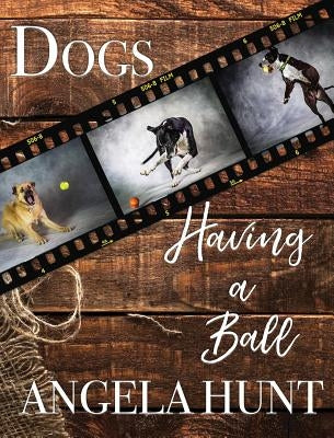 Dogs Having a Ball by Hunt, Angela