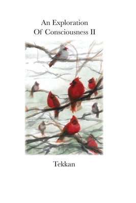 An Exploration of Consciousness II by Tekkan