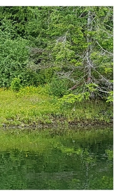 Tahsis Inlet Outlet Revival Anthology 2020 Black and white Edition: Green Antler presents 2020 collected works by Bosecker, Graham