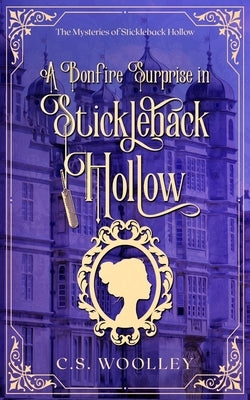 A Bonfire Surprise in Stickleback Hollow by Woolley, C. S.