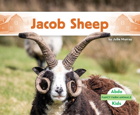 Jacob Sheep by Murray, Julie