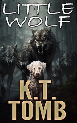 Little Wolf by Rain, J. R.