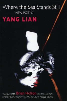 Where the Sea Stands Still by Lian, Yang