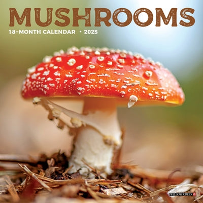 Mushrooms 2025 7 X 7 Mini Wall Calendar by Willow Creek Press