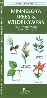 Missouri Trees & Wildflowers: An Introduction to Familiar Species by Kavanagh, James