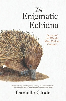 The Enigmatic Echidna: Secrets of the World's Most Curious Creature by Clode, Danielle
