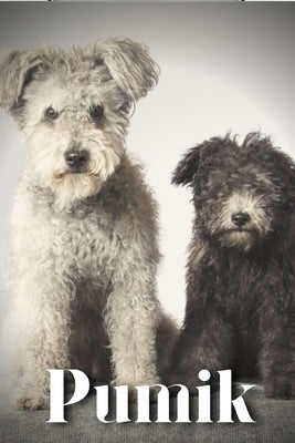 Pumik: Dog breed overview and guide by Pustova, Nina
