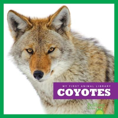 Coyotes by Meister, Cari
