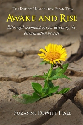 Awake and Rise: Bite-sized examinations for deepening the deconstruction process by DeWitt Hall, Suzanne
