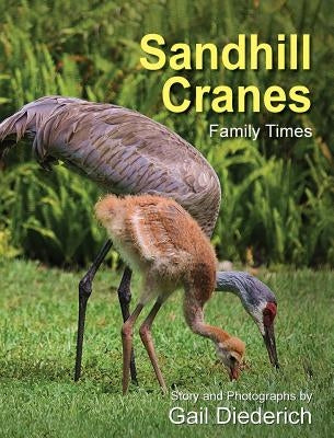 Sandhill Cranes, Family Times by Diederich, Gail