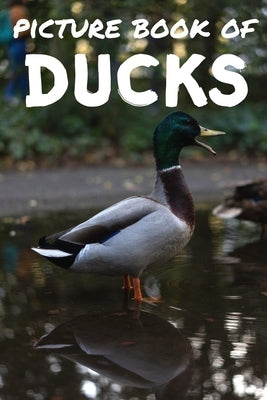 Picture book of ducks: Photos of ducks - Picture book for kids and more - Picture book for seniors with Dementia and Alzheimer - by Pictures, Relaxing