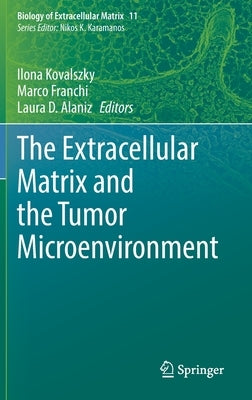 The Extracellular Matrix and the Tumor Microenvironment by Kovalszky, Ilona