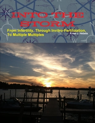 INTO THE STORM From Infertility, Through Invitro-fertilization, To Multiple Multiples by Hebets, Kristi J.