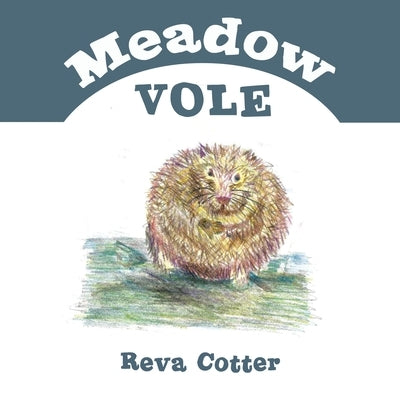 Meadow Vole by Cotter, Reva