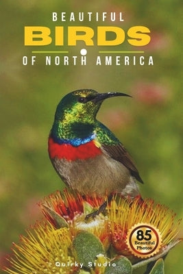 Beautiful Birds of North America: A Calming Coffee Table Photo Collection for Seniors with Dementia, Alzheimer's, Memory Care, and All Bird Lovers by Studio, Quirky