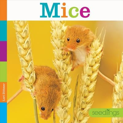 Mice by Dittmer, Lori