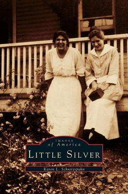 Little Silver by Schnitzspahn, Karen L.