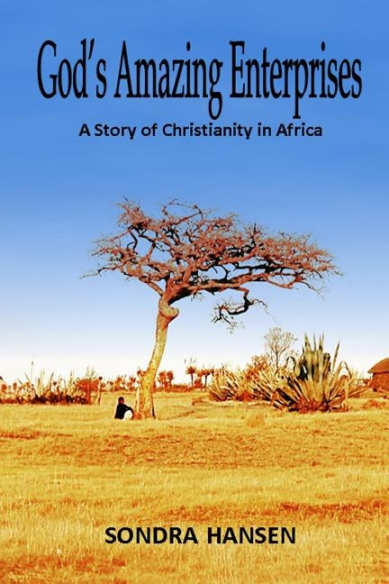 God's Amazing Enterprises: A Story of Christianity in Africa by Hansen, Sondra