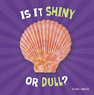 Is It Shiny or Dull? by Amstutz, Lisa J.